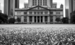 Manifestazione della Lega contro il piano di riarmo UE