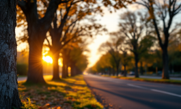 Lettera di scuse di Samson ai genitori di Ilaria Sula