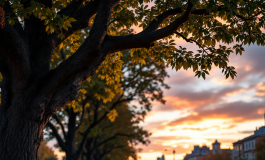 Luca Salatino riflette sul suo risveglio interiore