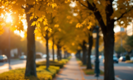 Luk3 e Alessia in un momento di Amici, riflessioni social