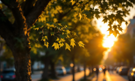 Antonello Fassari, attore italiano, scomparso
