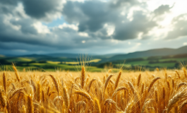 Immagine che rappresenta il maltempo e il calo delle temperature