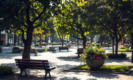Massimiliano Mollicone sul trono di Uomini e Donne