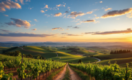 Matteo Salvini discute il futuro dell'autonomia in Italia