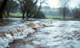 Monitoraggio della piena del fiume Po con precauzioni