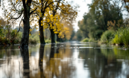 Immagine della piena del fiume Po in Emilia-Romagna