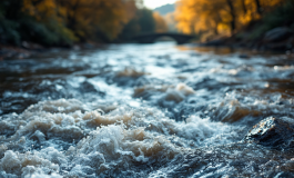 Immagine della piena del fiume Po a Piacenza