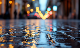 Analisi delle relazioni di Matteo Messina Denaro