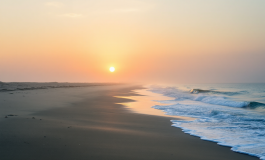 Iniziativa di ripopolamento delle vongole nel mare