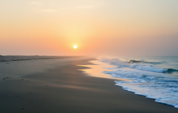 Iniziativa di ripopolamento delle vongole nel mare