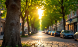 Immagine che rappresenta il dramma post Grande Fratello