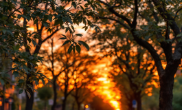 Shaila Gatta e Lorenzo Spolverato insieme in un evento