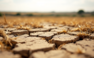 Immagine della siccità in Sicilia con campi aridi