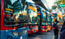 Immagine del Tar del Lazio riguardante il trasporto turistico a Roma