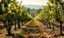 Immagine che rappresenta il trattamento dei migranti in Italia