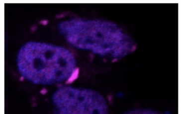 featured 2160901 364x230