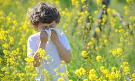 featured 2161387 265x160