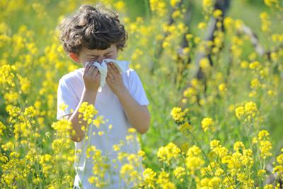 Allarme allergologi pediatri, 'con boom di pollini e muffe +30% malattie'