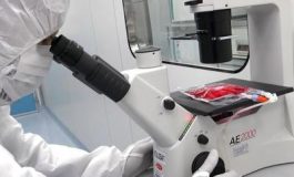 featured 2164504 265x160