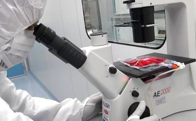 Tumori, in 5 anni di Car-T curati 1.800 italiani: "Il viaggio continua destinazione futuro"