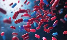 featured 2165147 265x160