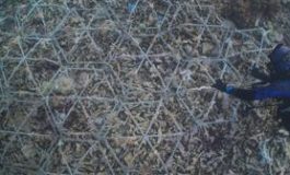 featured 2167773 265x160