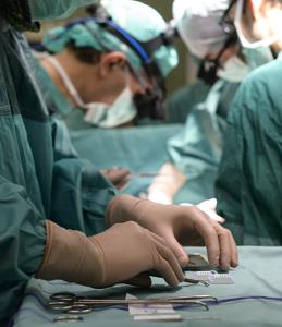 Ricerca, al Bambino Ges&ugrave; fegati tenuti in vita per studi su malattie metaboliche
