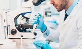 featured 2170153 265x160