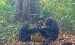 featured 2177296 265x160