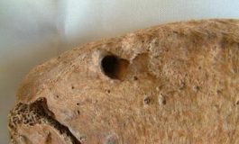 featured 2177494 265x160