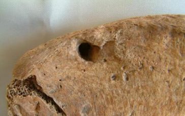 featured 2177494 364x230