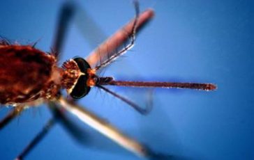 featured 2178374 364x230