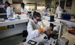 featured 2185801 265x160