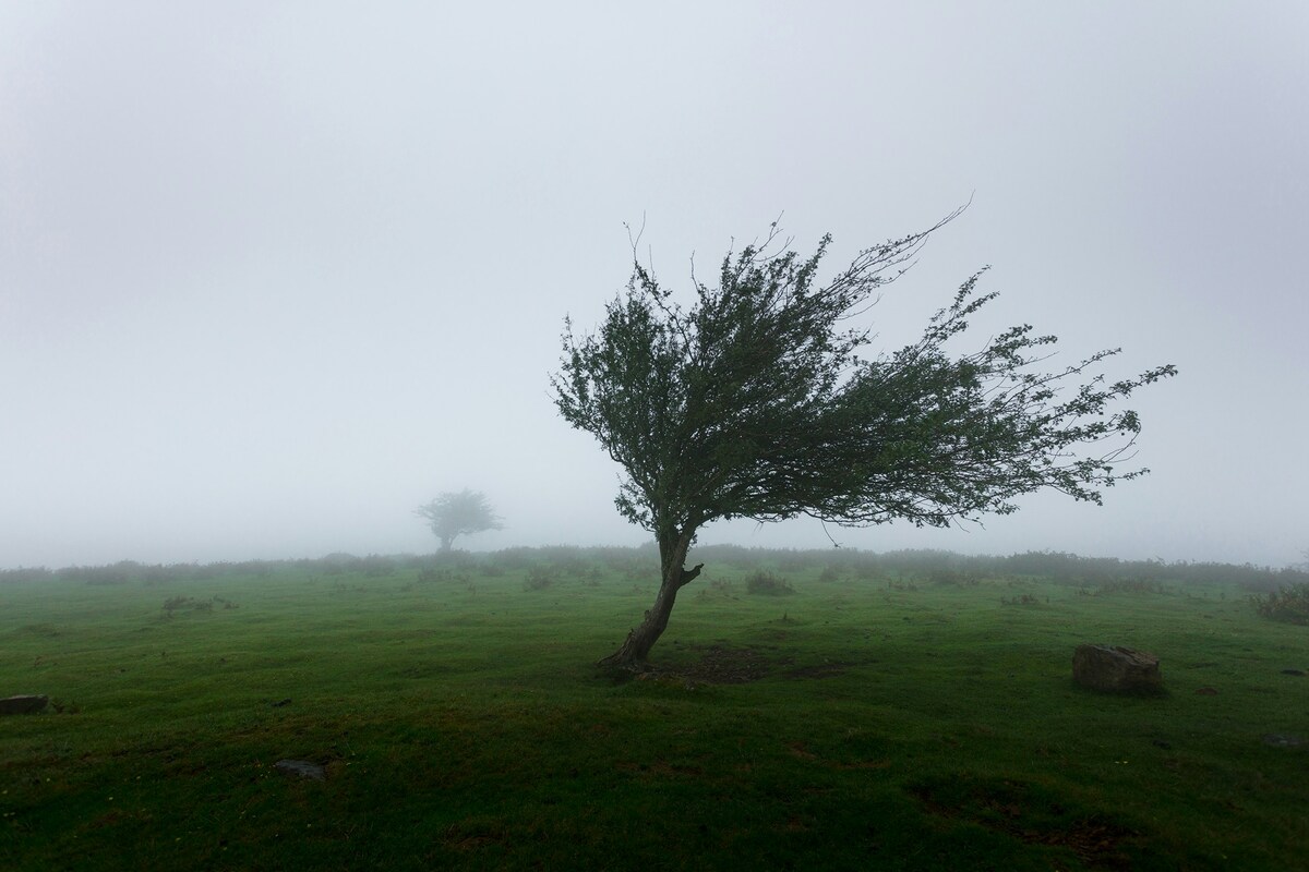 Meteo, in arrivo vento forte su tutta Italia, raffiche fino a 90 km/h: le previsioni