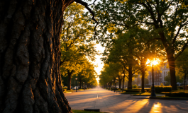 Cecilia Rodriguez e Ignazio Moser in un momento di riflessione