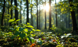 Ricerche in corso per donna scomparsa a Prato