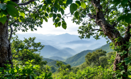 Sentiero F10 chiuso per proteggere gli orsi in Abruzzo