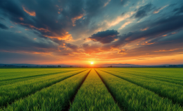 Corpo di un ciclista di 61 anni rinvenuto a Rivanazzano