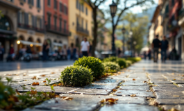 Immagine che rappresenta le nuove regole di decoro urbano a Como