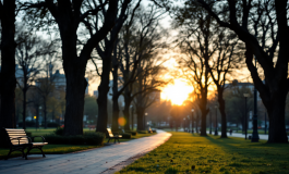 Immagine che rappresenta la gentilezza e la pace