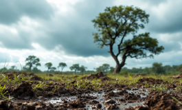 Aumento degli eventi meteo estremi in Italia