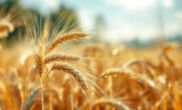 Agenda eventi di oggi in Italia con incontri e cerimonie