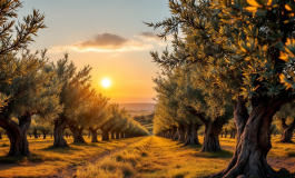 Fedez e Clara sorridono insieme durante un evento musicale