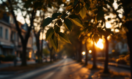 Funerali privati per un membro del clan Casamonica a Roma