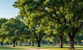 Immagine che rappresenta la ricerca di giustizia da parte di una sorella