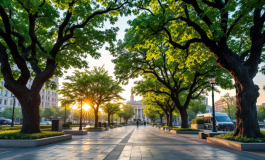 Manifestazione contro la mafia con cittadini uniti