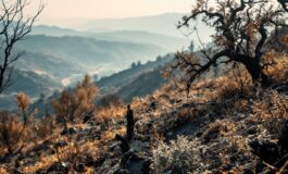 Incendi devastanti in corso ad Ascoli Piceno