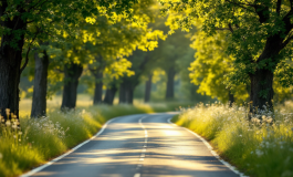 Tragedia stradale ad Artogne con un uomo coinvolto