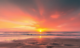 Immagine che rappresenta il dramma dell'Isola dei Famosi 2023