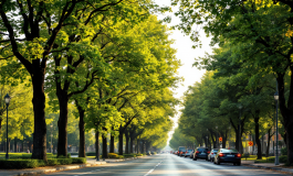 Immagine che rappresenta il lavoro sostenibile e giusto